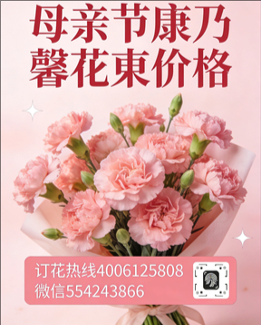 吕梁交口县花店母亲节康乃馨花束